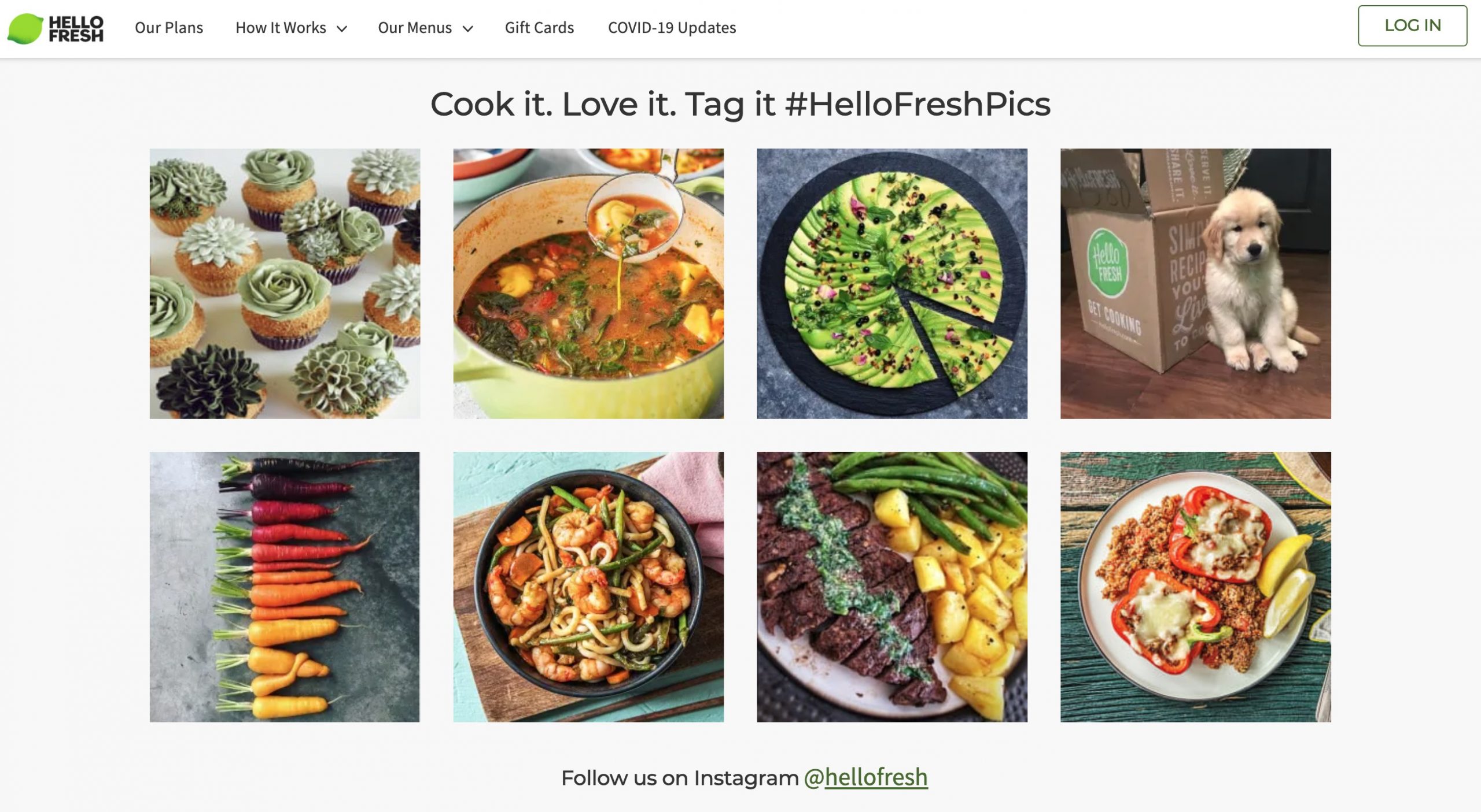 HelloFresh Meal Delivery to Save Your Time and Provide Healthy Food